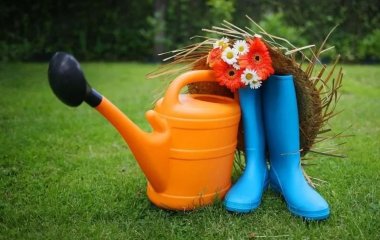 Щоб дача була в радість: як підготуватися до поїздки за місто