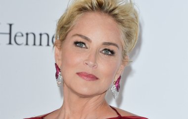 Шэрон Стоун занялась живописью во время карантина и показала свою первую картину