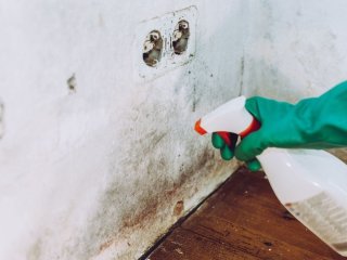 Як позбутися плісняви та грибка на стінах раз і назавжди: запам’ятайте ці прості трюки
