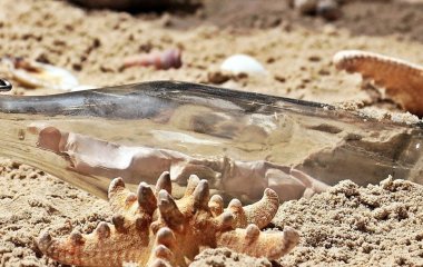 На березі моря виявили пляшку з посланням, яке сколихнуло соцмережі (фото)