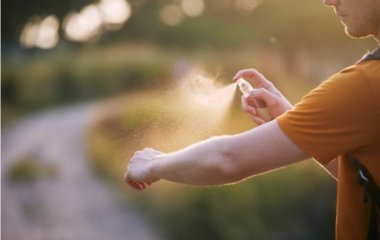 Не лише енцефаліт. Чим страшний кліщовий бореліоз