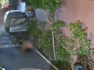 Скандал на популярному курорті: туристу загрожує в'язниця через секс на вулиці