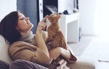 Почему кошка топчется на вас лапками: 3 причины, которые удивят не на шутку