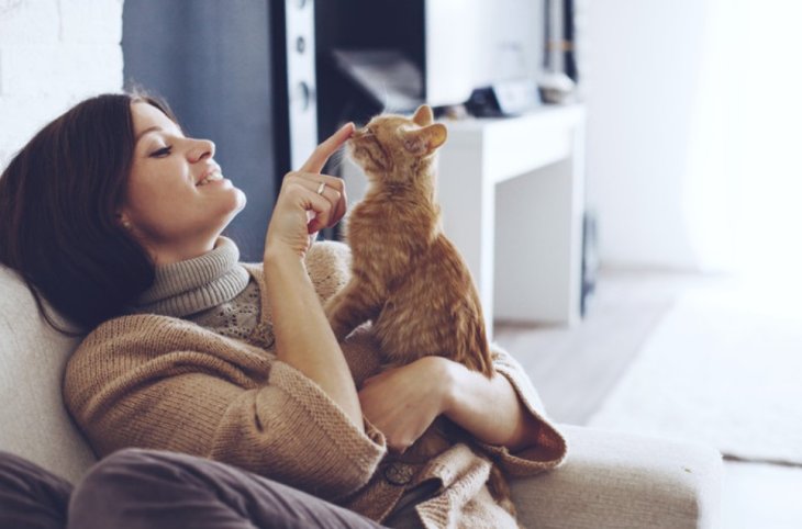 Почему кошка топчется на вас лапками: 3 причины, которые удивят не на шутку