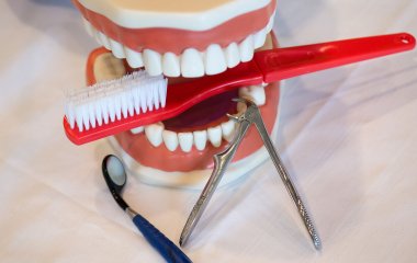 Стоматологи рассказали, когда правильно чистить зубы