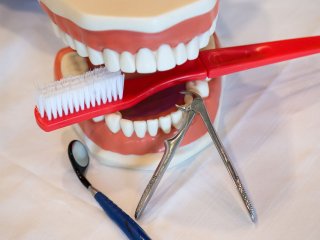 Стоматологи розповіли, коли правильно чистити зуби