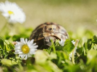 День ангела 5 липня: кого та як вітати з іменинами