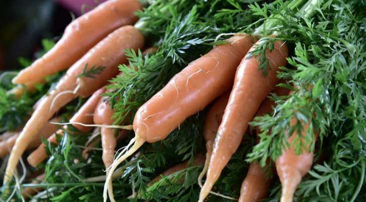 Диетолог рассказала о рисках употребления моркови