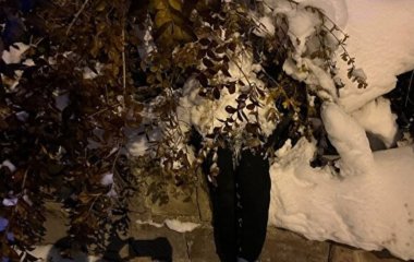 У жінки стався нервовий зрив через сніговика – фото