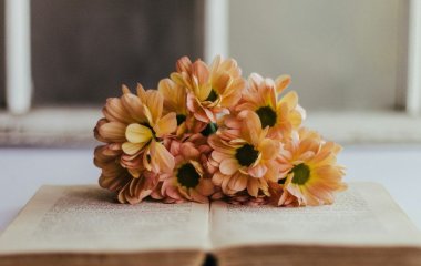 Значення цього українського слова мало хто знає: що таке 