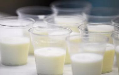 Вчені назвали напій, що перешкоджає раку та діабету