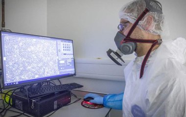 Вчений назвав тип небезпечних для людства вірусів