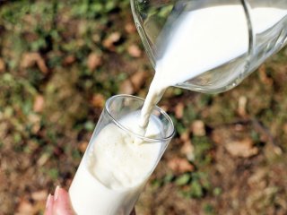 Врач развенчала главный миф о молоке и сообщила, кому его пить нельзя