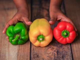 Стало известно, почему болгарский перец имеет разные цвета