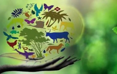 Біологічна різноманітність робить людей щасливішими і багатшими