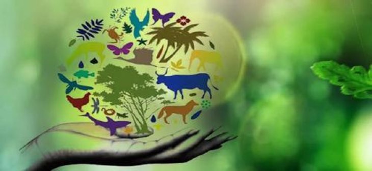 Біологічна різноманітність робить людей щасливішими і багатшими