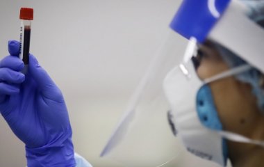 Вчені визнали екстракт полину ефективним проти COVID-19