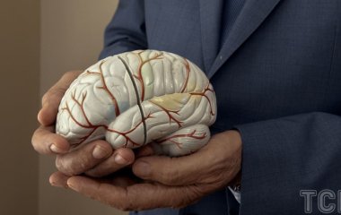 Вчені знайшли істоту, у якої мозок буквально по всьому тілу: який вигляд має