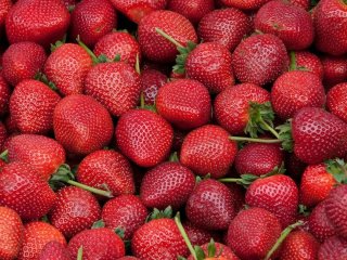 Ці ягоди можна їсти без обмежень: тренер назвав продукти, які допоможуть вам схуднути