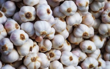 Що посадити в лютому: 5 овочів для раннього врожаю на городі