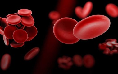 Ешьте его ежедневно: этот фрукт снижает риск образования тромбов на 21%