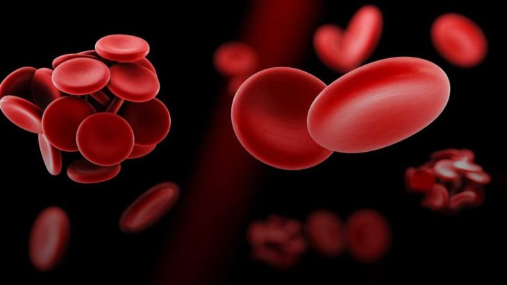 Ешьте его ежедневно: этот фрукт снижает риск образования тромбов на 21%