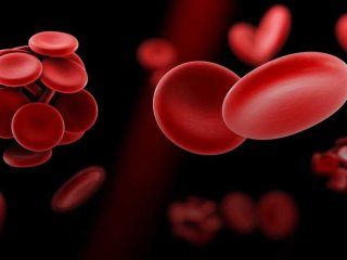 Ешьте его ежедневно: этот фрукт снижает риск образования тромбов на 21%