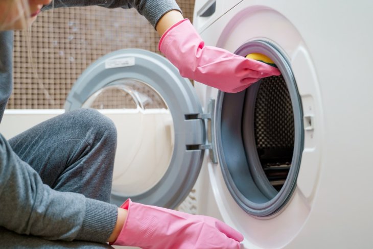 Як почистити ущільнювальну гумку пральної машини від плісняви: бюджетні варіанти