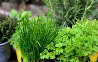 Лікар назвав несподіваний продукт, який підвищує ризик утворення тромбів у 20 разів