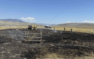 Риба впала з неба і викликала пожежу в Канаді — деталі дивного інциденту