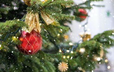 Сигнали з потойбічного світу: медіум назвала знаки, на які слід звернути увагу у час Різдва