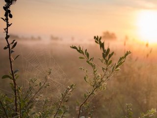 День ангела 15 серпня: кого та як вітати з іменинами
