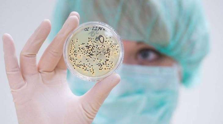 Ученый предсказал рост устойчивости бактерий к антибиотикам