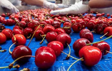 Дієтолог назвала корисні для сну продукти
