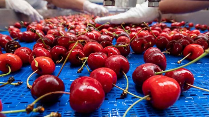 Дієтолог назвала корисні для сну продукти