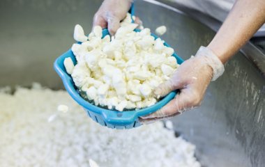 Експерти розповіли, як обрати якісний сир
