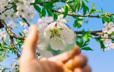 День ангела 17 квітня: кого та як вітати з іменинами