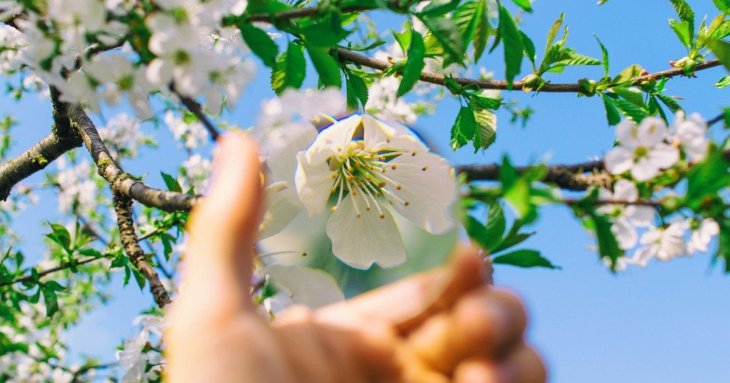 День ангела 17 квітня: кого та як вітати з іменинами