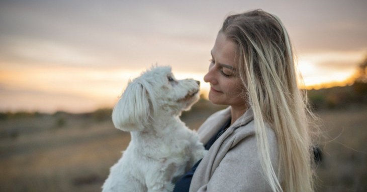 Десять простих способів позбутися шерсті домашніх тварин на одязі: навіть у період линьки