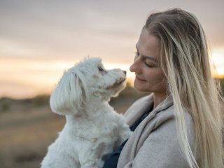 Десять простих способів позбутися шерсті домашніх тварин на одязі: навіть у період линьки