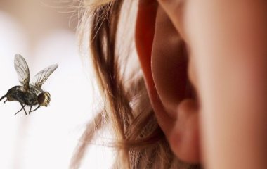 Олія, спирт і жодної паніки: Названо способи 