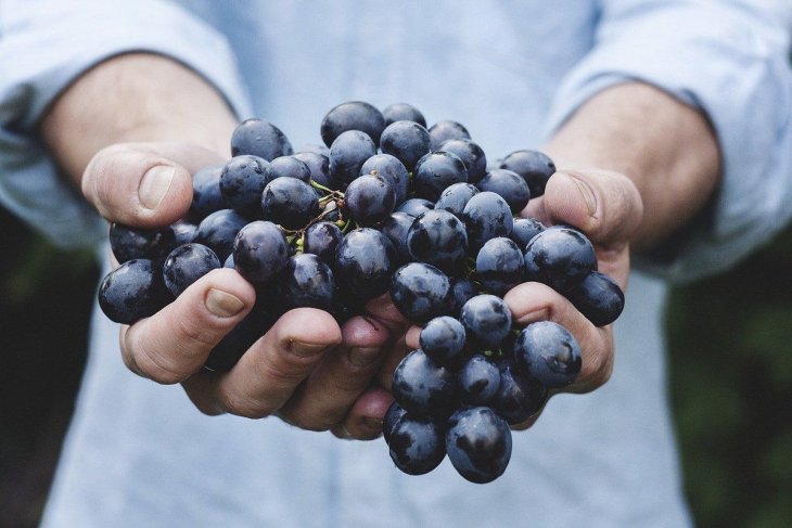 Чому варто додати фіолетові продукти у свою тарілку