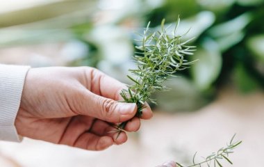 Чарівна спеція, яка очищає печінку, знижує цукор і бореться зі старінням: просто додайте до страв