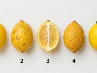 Виберіть лимон і дізнайтеся, що робить ваше життя «кислим»: тест за картинкою