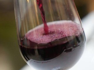 Алкоголь змушує імунну систему атакувати мозок: науковці виявили несподіваний вплив на організм