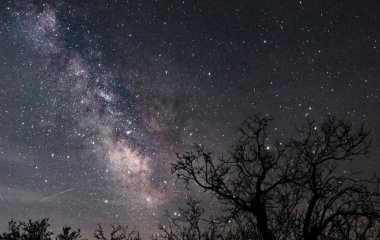 Погляньте в небо в ці дати: почалося незвичайне метеорне шоу