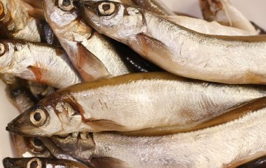 Розкрито неочевидну користь від вживання мойви: ця дрібна риба інколи краща за червону