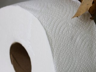 Навіщо на туалетному папері малюнки: розгадка від виробників