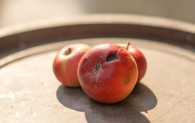 Коричневі плями на яблуках: ознака псування чи норма — роз’яснення професора харчових наук