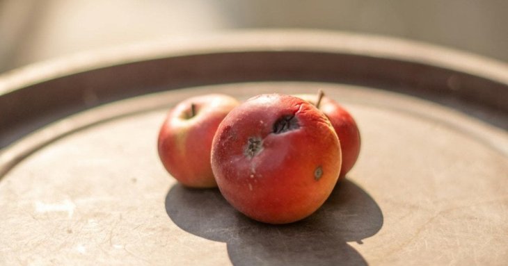 Коричневі плями на яблуках: ознака псування чи норма — роз’яснення професора харчових наук